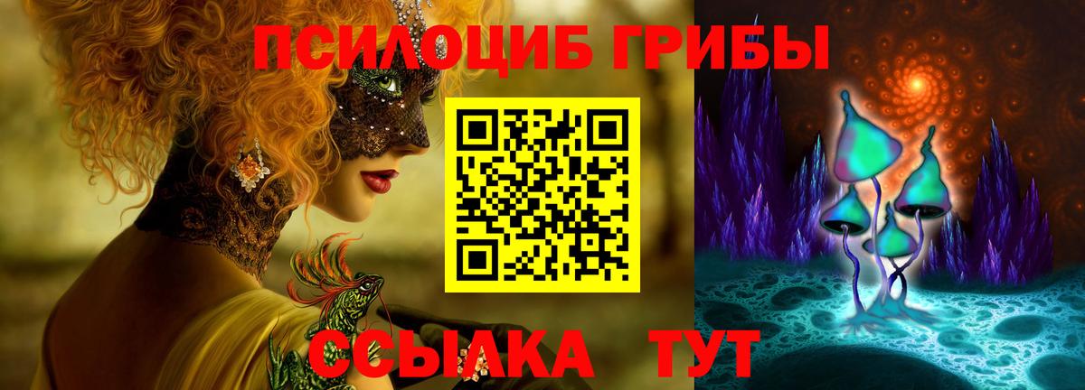 Псилоцибиновые грибы Cubensis Борисоглебск