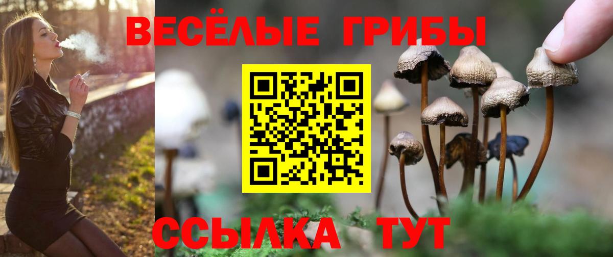 купить наркоту  Вход с VPN  Борисоглебск  Псилоцибиновые грибы ЛСД 